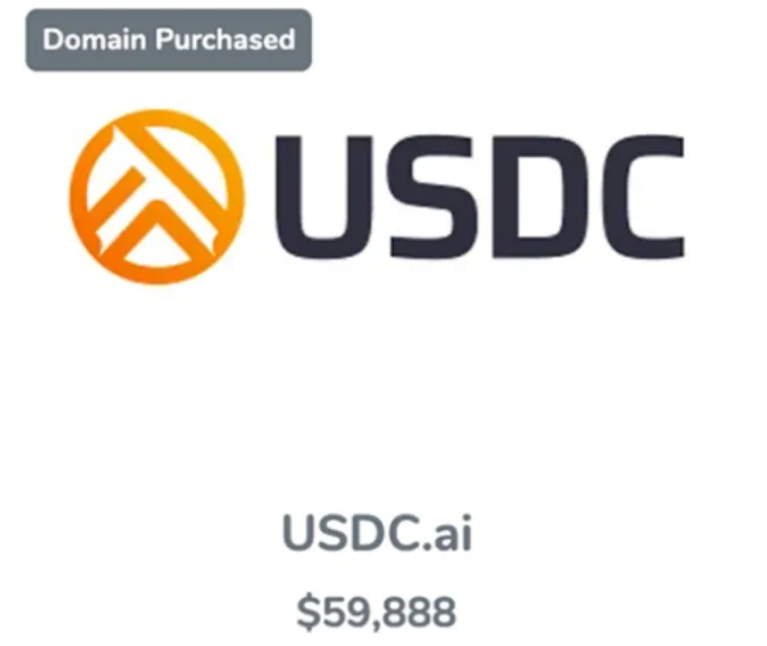 AI金融域名USDC.ai以59888美元成交：两年投资回报率超300倍