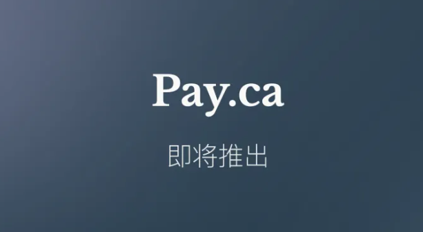 优质短域名Pay.ca以15万美元成交,彰显顶级国别域名强劲价值